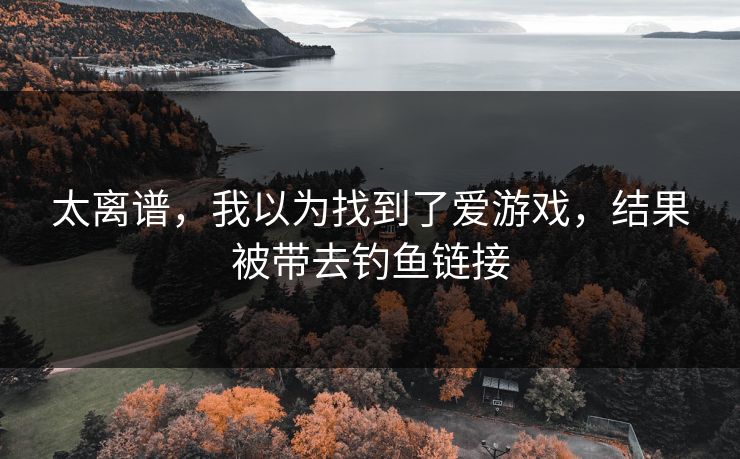 太离谱，我以为找到了爱游戏，结果被带去钓鱼链接