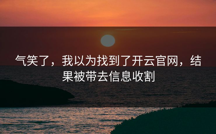 气笑了，我以为找到了开云官网，结果被带去信息收割